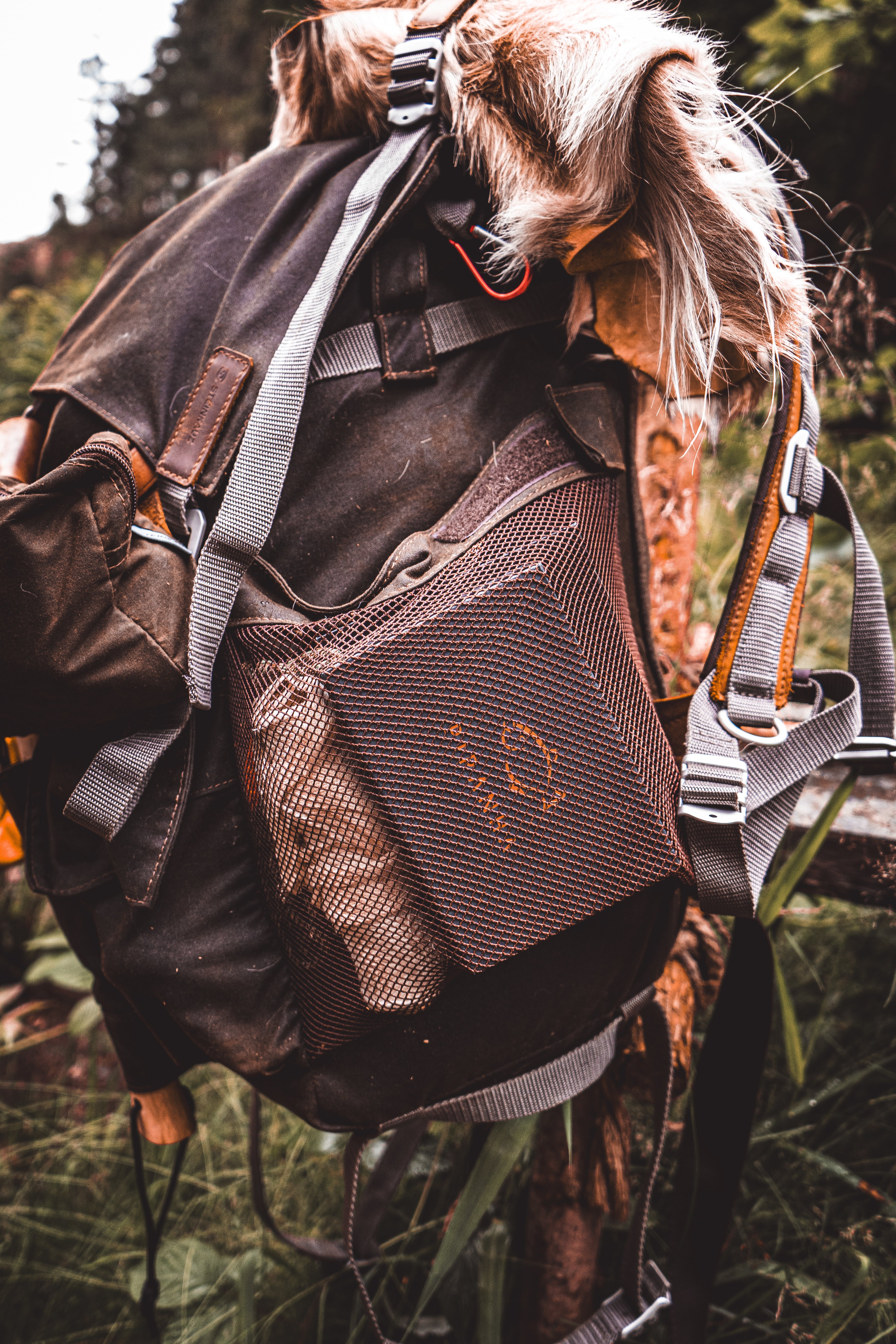 Bushcraft Messer Outdoor – D2 Stahl Klappmesser – Camping Survival Knife – G10 Griff - Silber