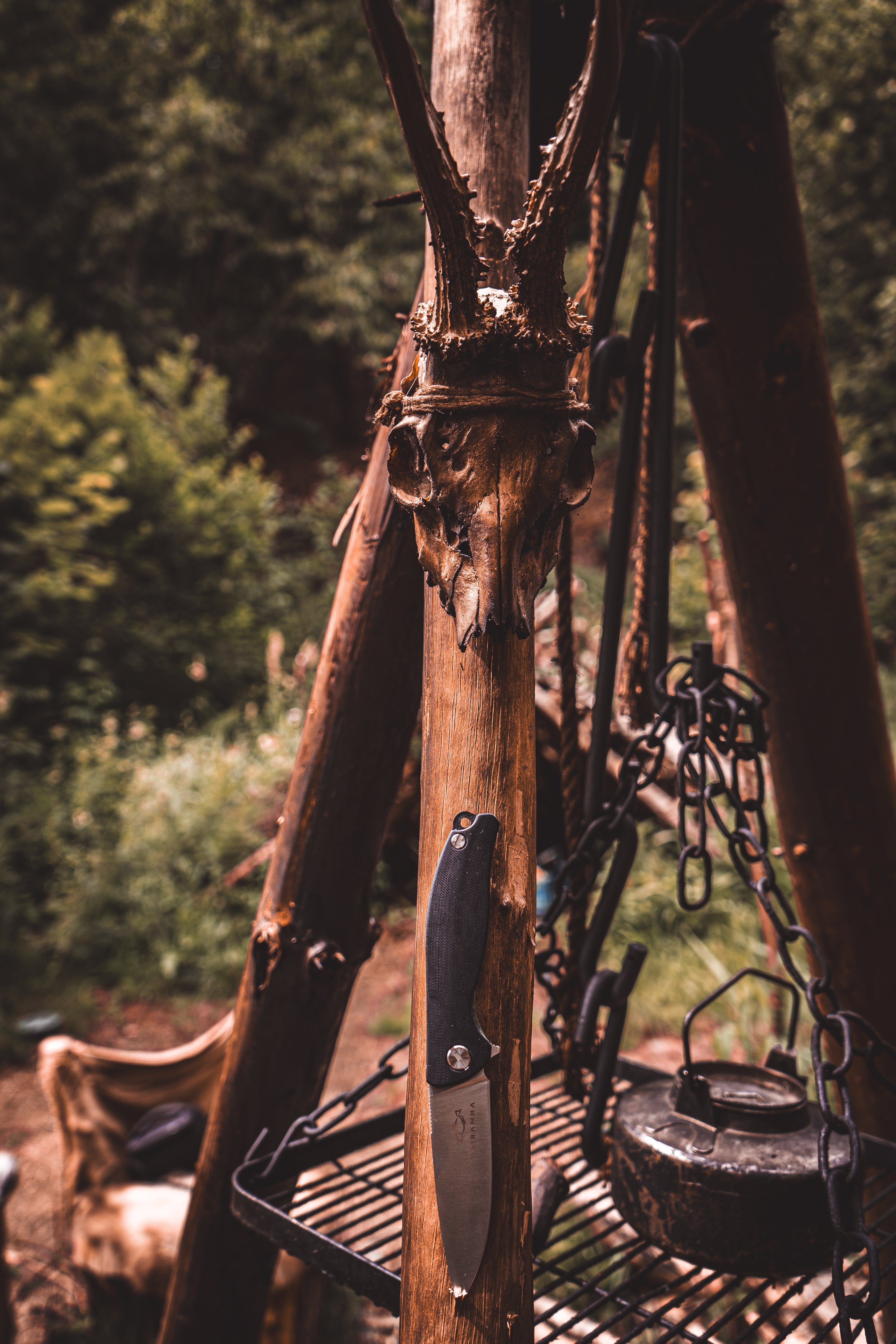 Bushcraft Messer Outdoor – D2 Stahl Klappmesser – Camping Survival Knife – G10 Griff - Silber